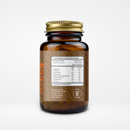 🍄 Melena de León Riandco (Lion’s Mane) – 60 cápsulas x 500mg