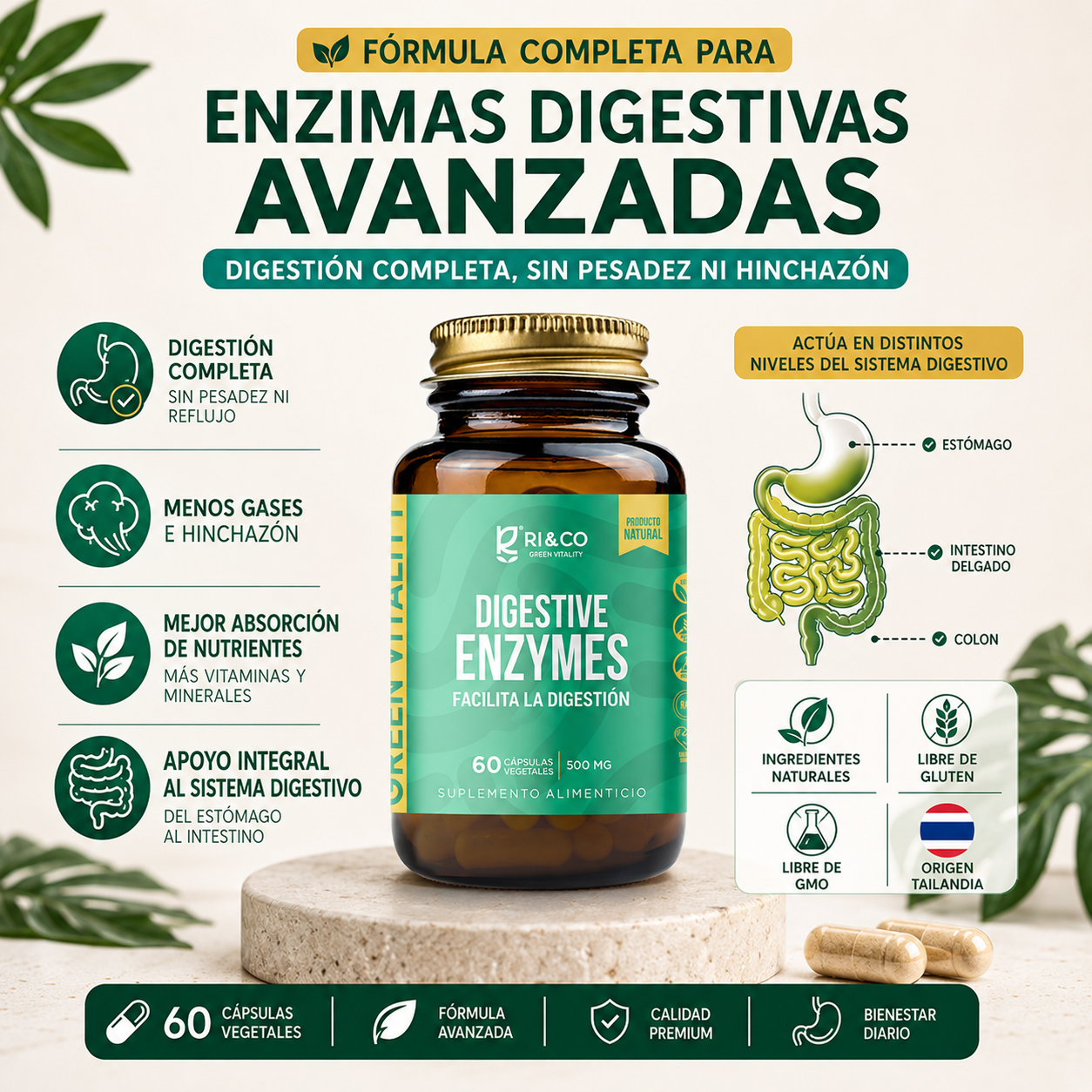 Enzimas Digestivas Riandco Para la Hinchazón la Pesadez y los Gases en el Estómago (60 cap x 500mg)